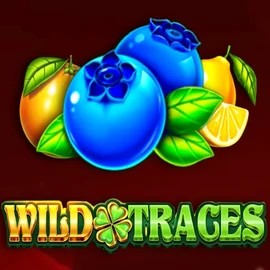 Wild Traces online slot from Amusnet Interactive – play at azurslotcasino.net